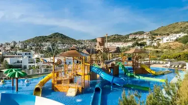 Fergus Club Carema Splash