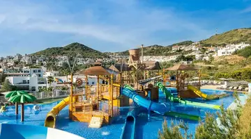 Fergus Club Carema Splash