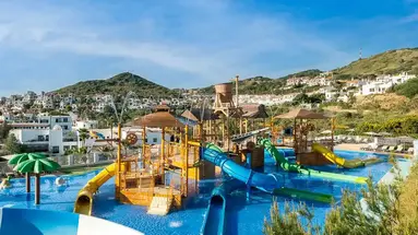 Fergus Club Carema Splash