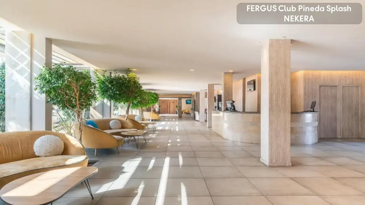 FERGUS Club Pineda Splash
