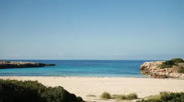 FERGUS Style Carema Beach