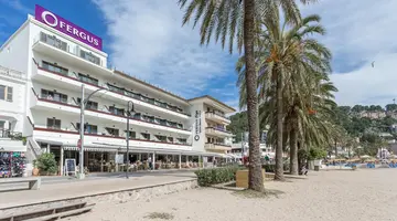 FERGUS STYLE SOLLER BEACH