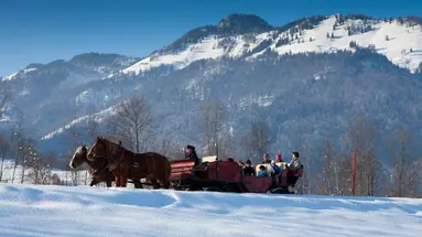 Ferienclub Bellevue