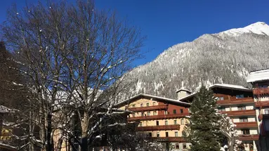 Ferienhotel Alber Alpenhotel
