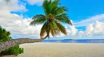 Fihalhohi Island Resort