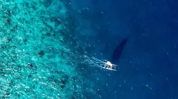 Fihalhohi Island Resort