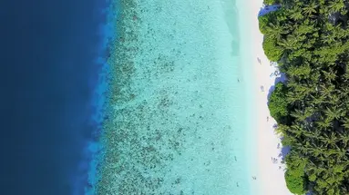 Fihalhohi Island Resort