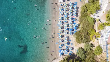 FILION SUITES RESORT & SPA