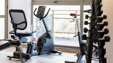 FILION SUITES RESORT & SPA