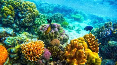Filipiński Duet: Palawan I Boracay