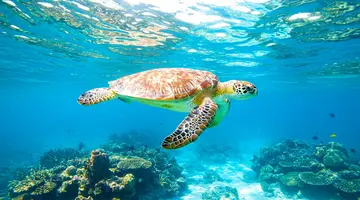 Filipiny: Białe Plaże Boracay