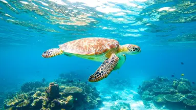 Filipiny: Białe Plaże Boracay