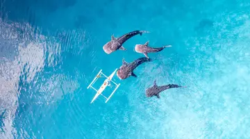 Filipiny: Białe Plaże Boracay