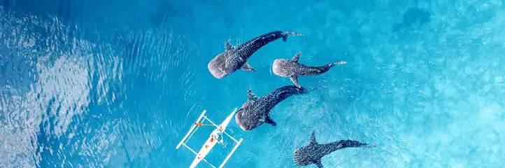Filipiny: Ocean Przygód I Wyspy Czarów