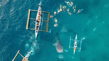 Filipiny: Ocean Przygód I Wyspy Czarów