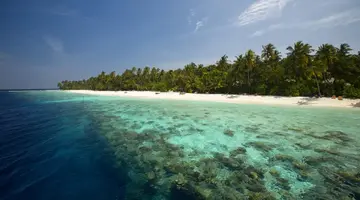 Filitheyo Island Resort