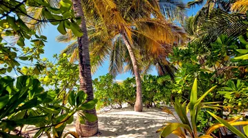 Filitheyo Island Resort