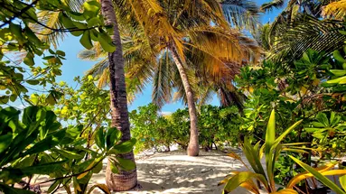Filitheyo Island Resort