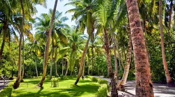 Filitheyo Island Resort