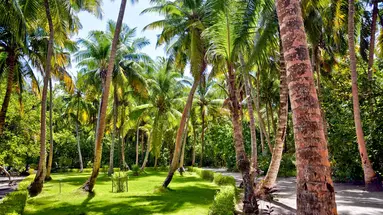 Filitheyo Island Resort