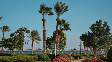 Fiord Club Resort & SPA Nuweiba