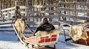 Fiordy, Nordkapp i Lofoty - Po Koło Podbiegunowe