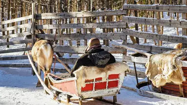 Fiordy, Nordkapp i Lofoty - Po Koło Podbiegunowe