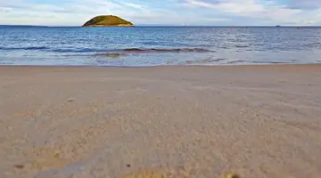 Flamboyan Caribe