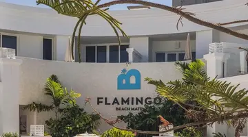 Flamingo Beach Mate