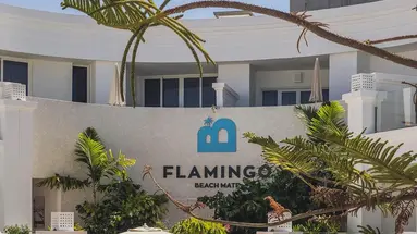 Flamingo Beach Mate