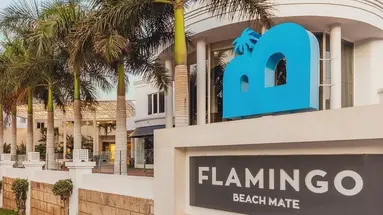 Flamingo Beach Mate