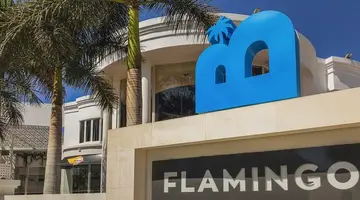Flamingo Beach Mate