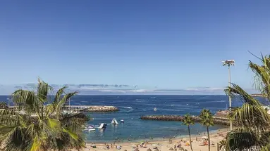 Flamingo Beach Mate