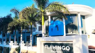 Flamingo Beach Mate