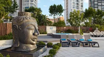 Flamingo Beach Resort - Adults Recommend