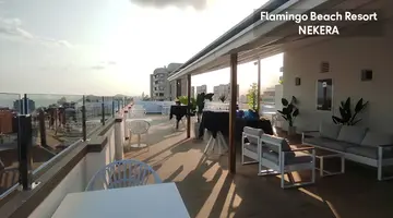 Flamingo Beach Resort