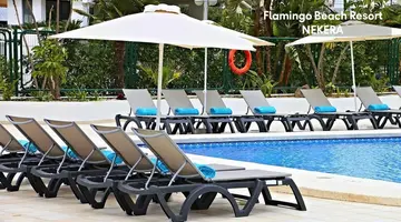 Flamingo Beach Resort