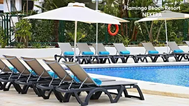 Flamingo Beach Resort