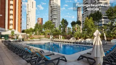 Flamingo Beach Resort