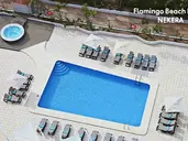 Flamingo Beach Resort