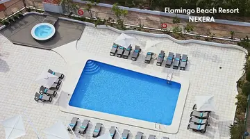 Flamingo Beach Resort