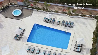 Flamingo Beach Resort