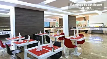 Flamingo Beach Resort