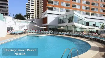 Flamingo Beach Resort
