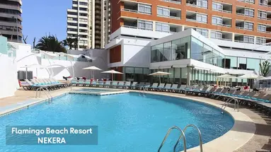 Flamingo Beach Resort