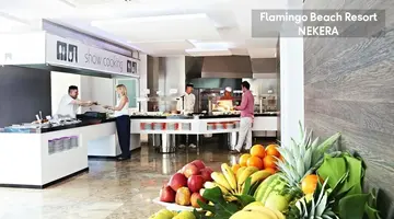 Flamingo Beach Resort