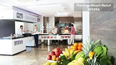 Flamingo Beach Resort