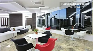 Flamingo Beach Resort