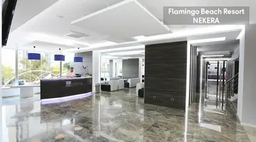 Flamingo Beach Resort