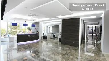 Flamingo Beach Resort